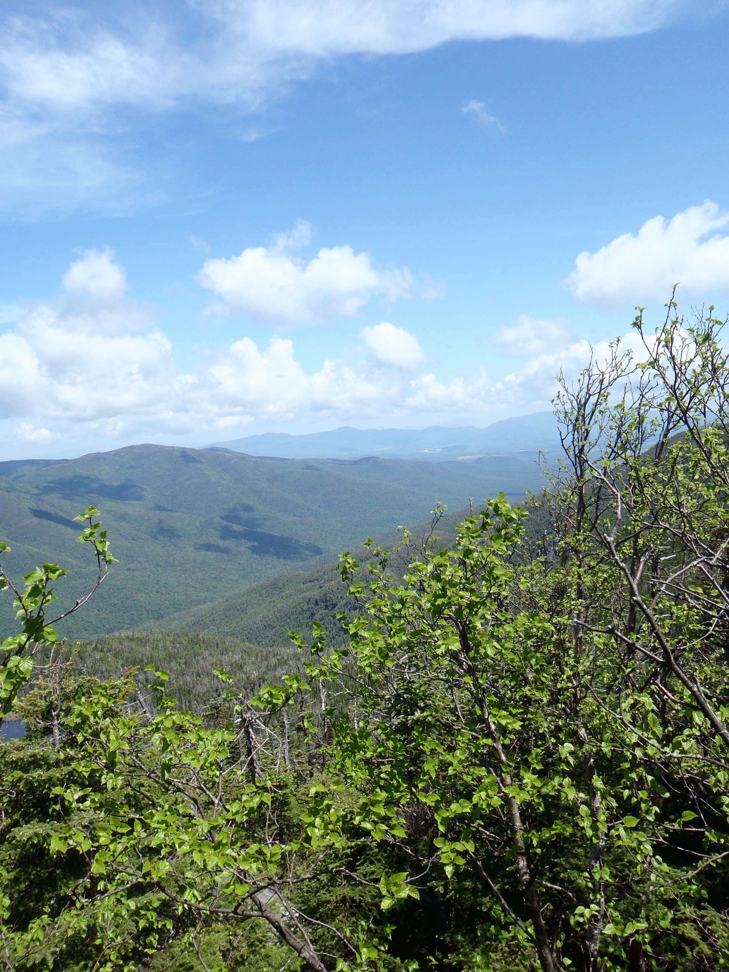 Camper submitted image from Marcy Dam Backcountry Campsites - 2