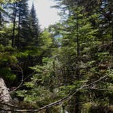 Review photo of Marcy Dam Backcountry Campsites by Isabel D., September 30, 2016