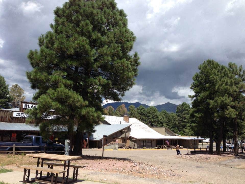 Camper submitted image from Black Bart's RV Park - 3