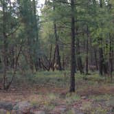 Review photo of Black Bart's RV Park by Sarah L., September 30, 2016