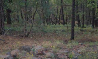 Camping near Fort tuthill county campground: Black Bart's RV Park, Flagstaff, Arizona