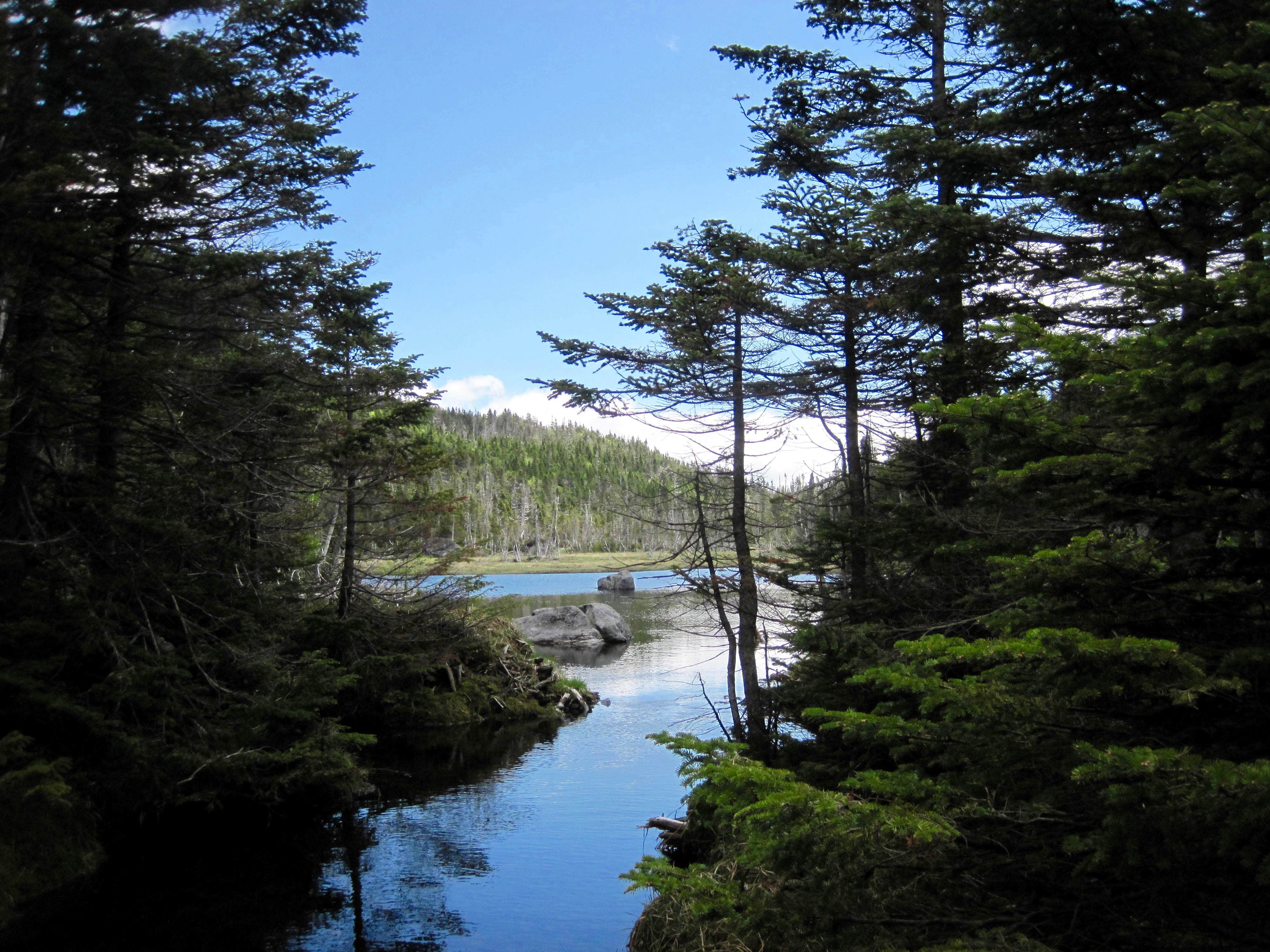 Camper submitted image from Marcy Dam Backcountry Campsites - 1