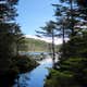 Marcy Dam Backcountry Campsites