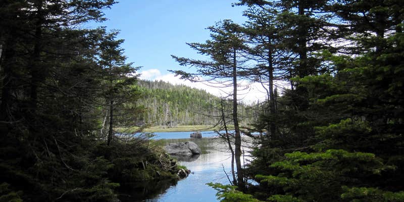 Camper submitted image from Marcy Dam Backcountry Campsites