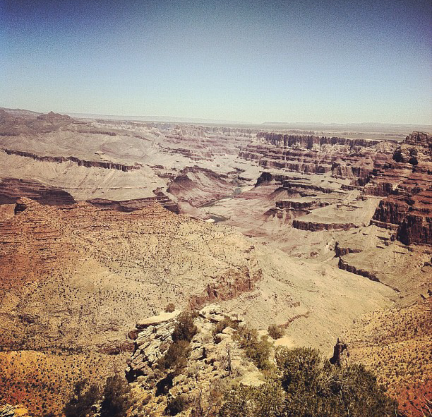 Camper submitted image from Grand Canyon-Williams KOA - 3