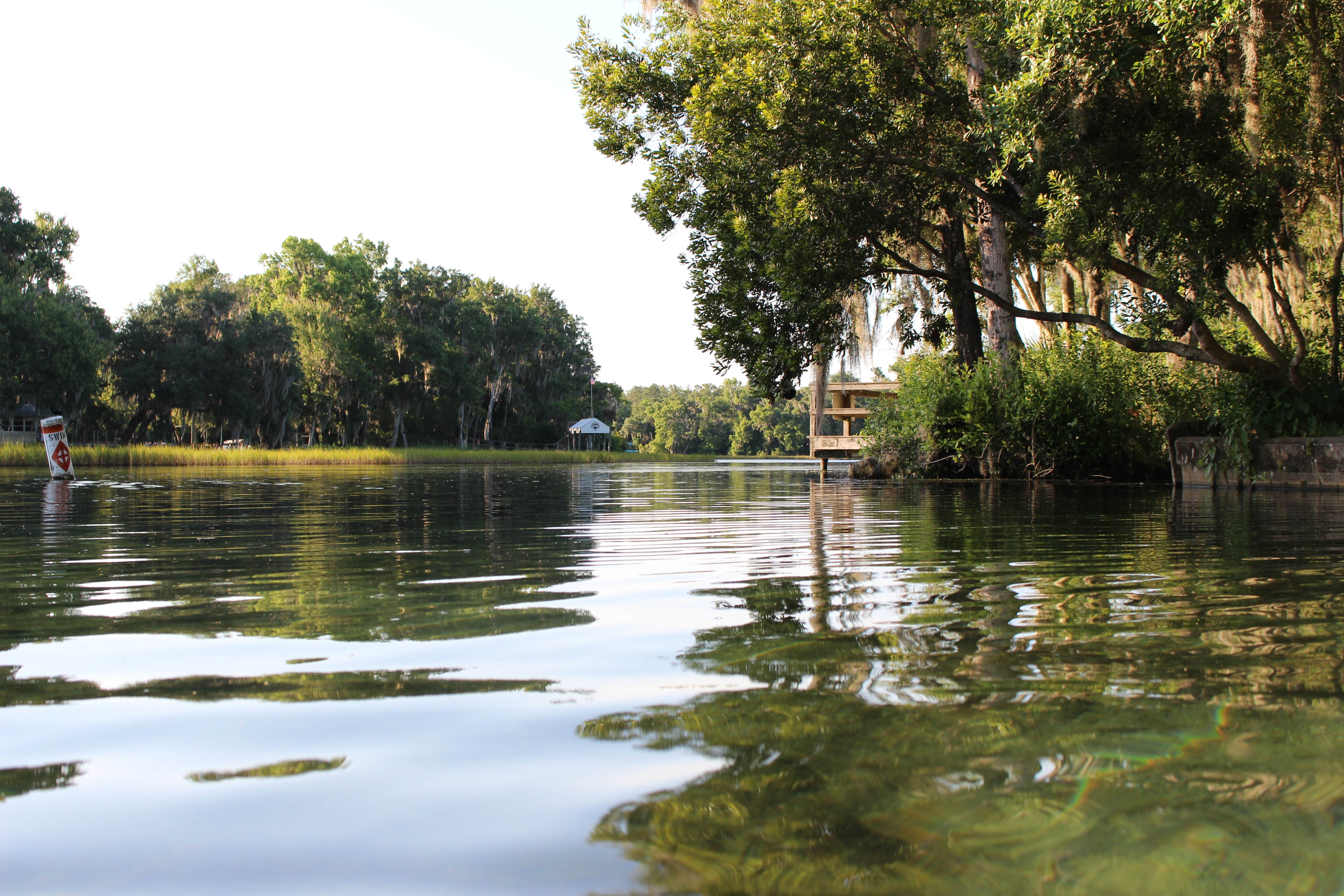 Camper submitted image from Rainbow Springs State Park Campground - 3