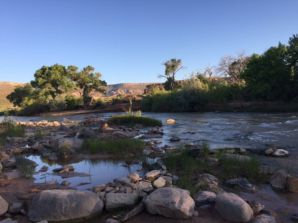 Camper submitted image from Zion River Resort - 1