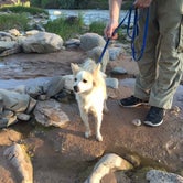 Review photo of Zion River Resort by Sarah L., September 30, 2016