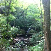 Review photo of Cosby Campground — Great Smoky Mountains National Park by Annie C., October 1, 2016