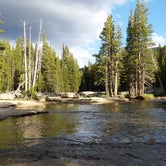 Review photo of Tuolumne Meadows Campground — Yosemite National Park by Christy C., June 13, 2016