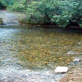 Review photo of M-K Campground by Allyson T., October 1, 2016