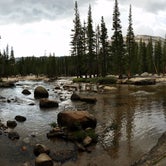 Review photo of Tuolumne Meadows Campground — Yosemite National Park by Christy C., June 13, 2016