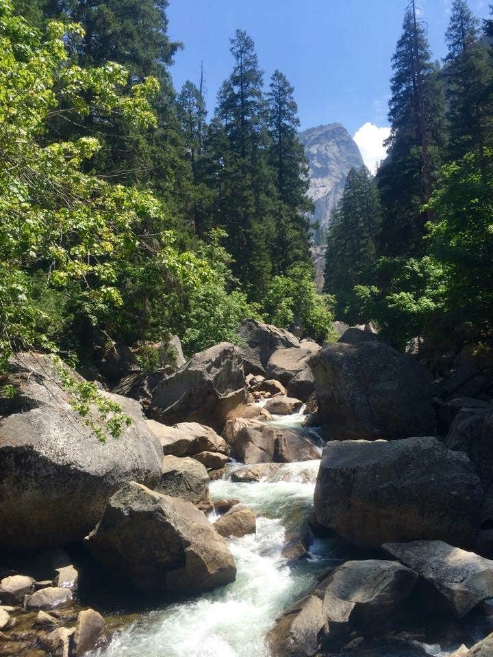 Camper submitted image from Yosemite Pines RV Resort & Family Lodging - 5