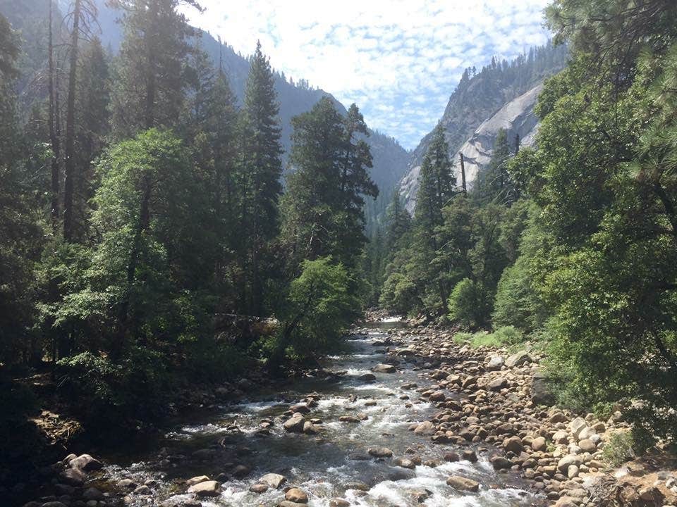 Camper submitted image from Yosemite Pines RV Resort & Family Lodging - 2