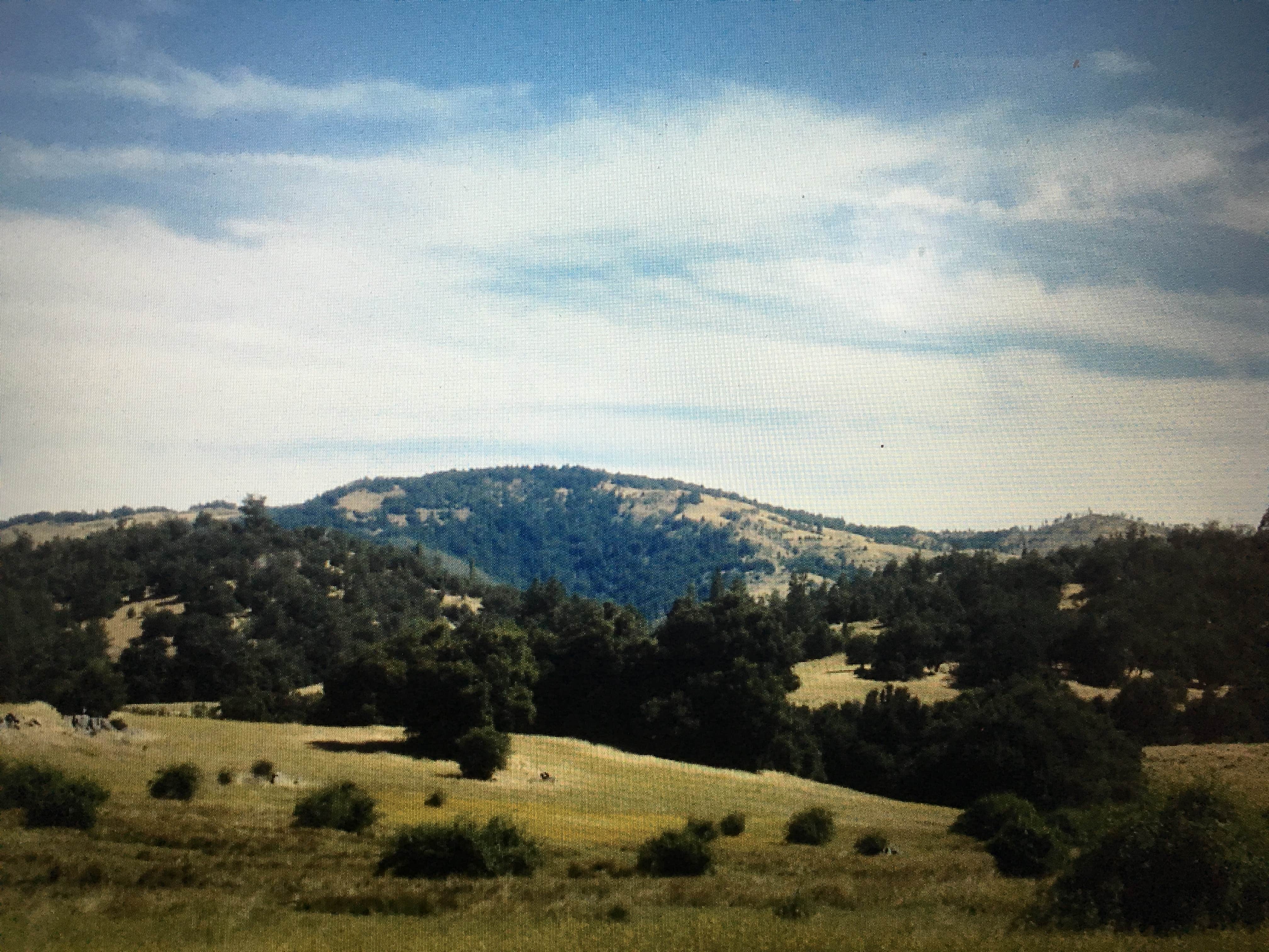 Camper-submitted photo at Shady Oasis Kampground near Helendale, CA