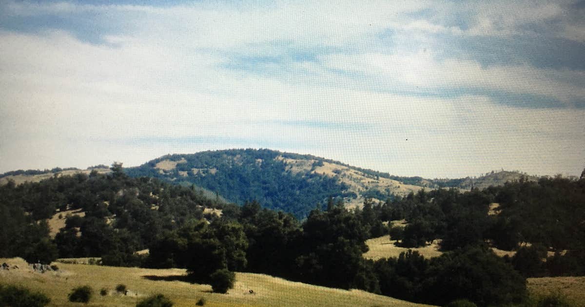 Lone Wolf Colony photo 5
