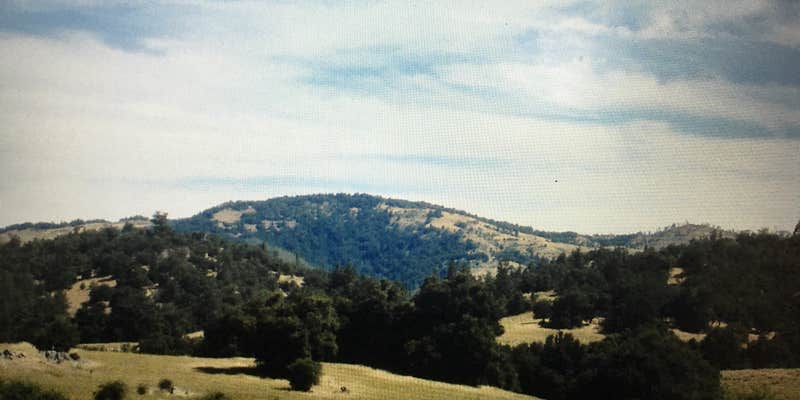 Camper submitted image from Shady Oasis Kampground