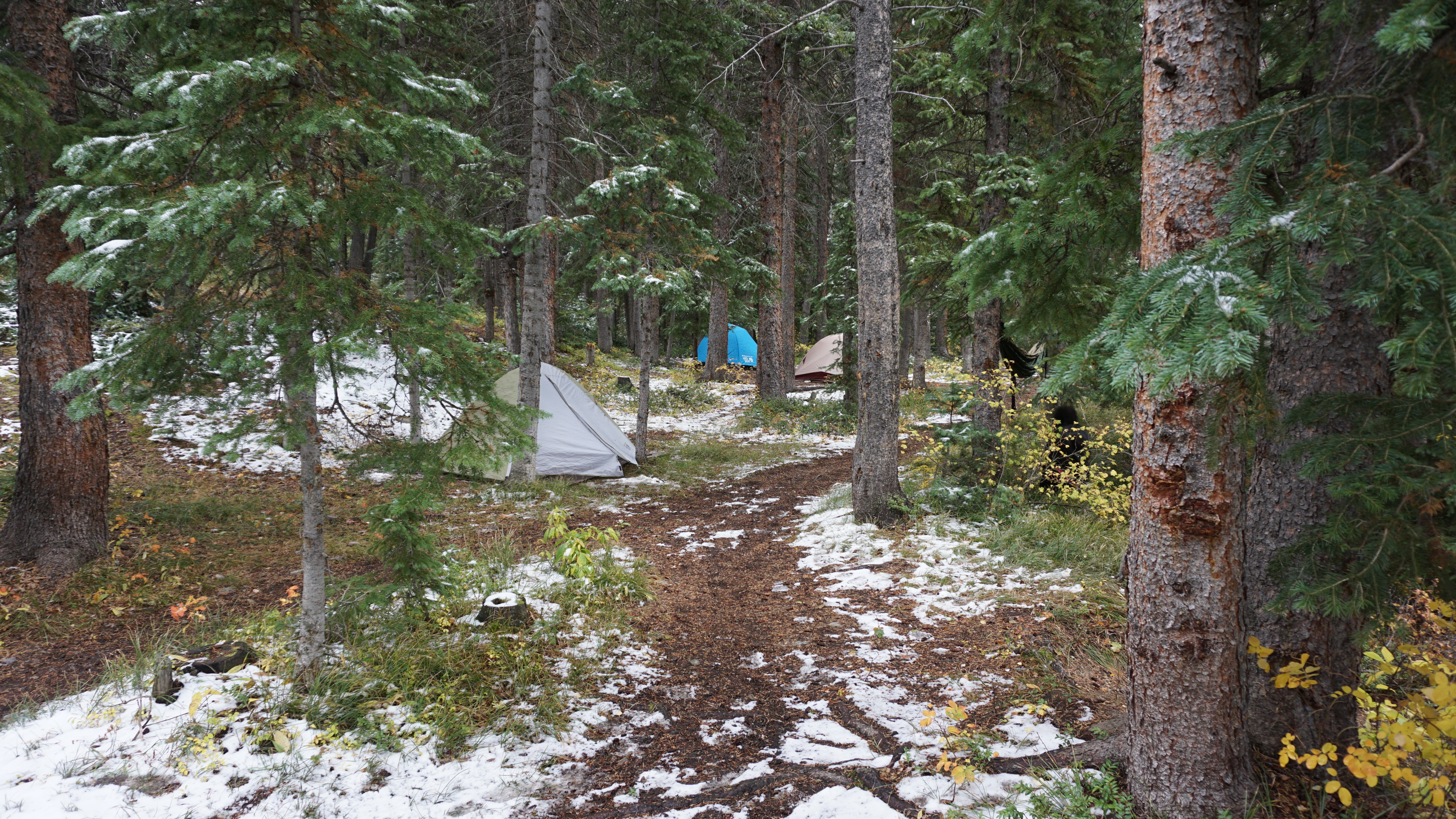 Camper submitted image from Lincoln Creek Dispersed Campground - 4