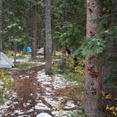 Review photo of Lincoln Creek Dispersed Campground by Daniel  B., October 1, 2016