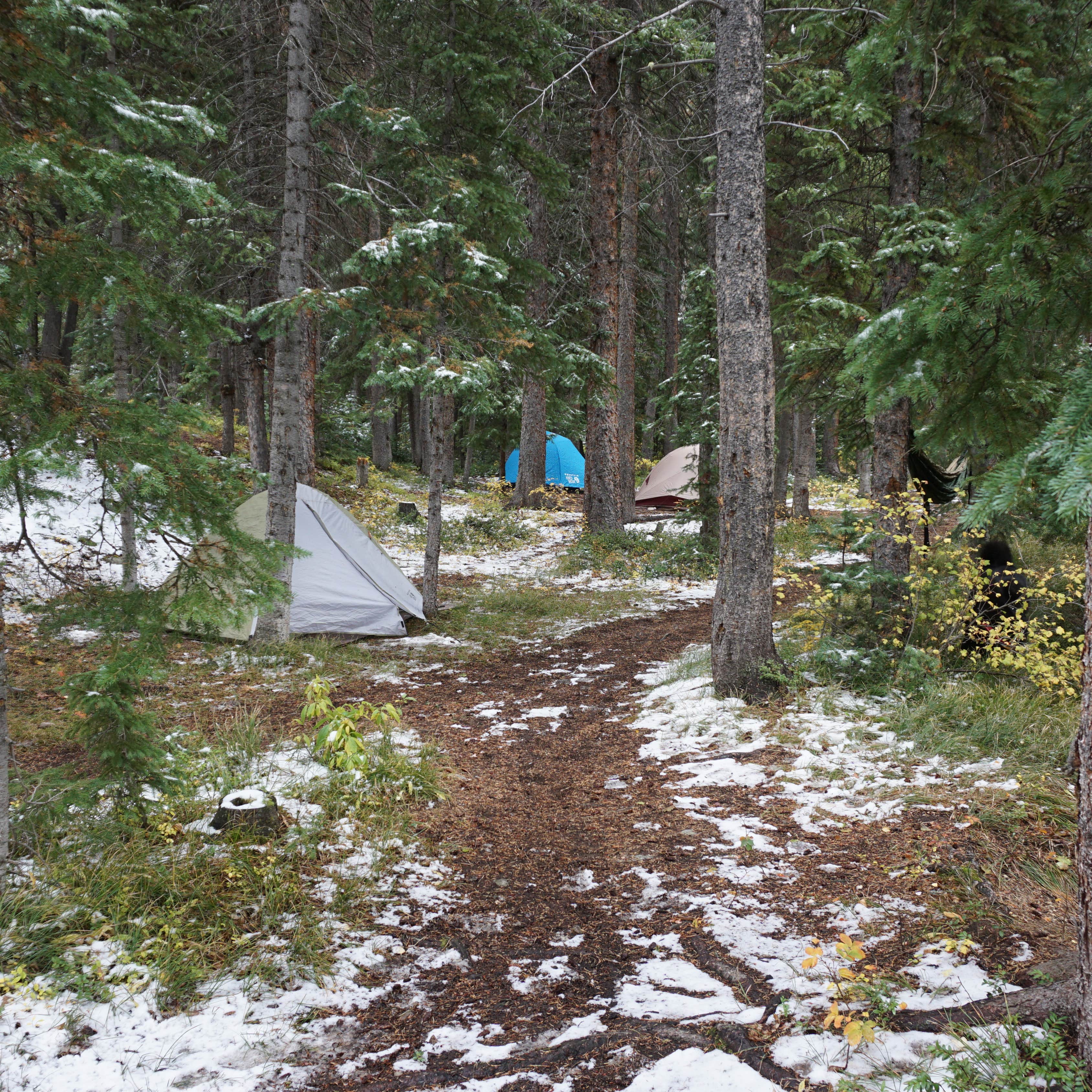 Escape to the Wild: Lincoln Gulch Campground, Colorado - Your Gateway to Adventure