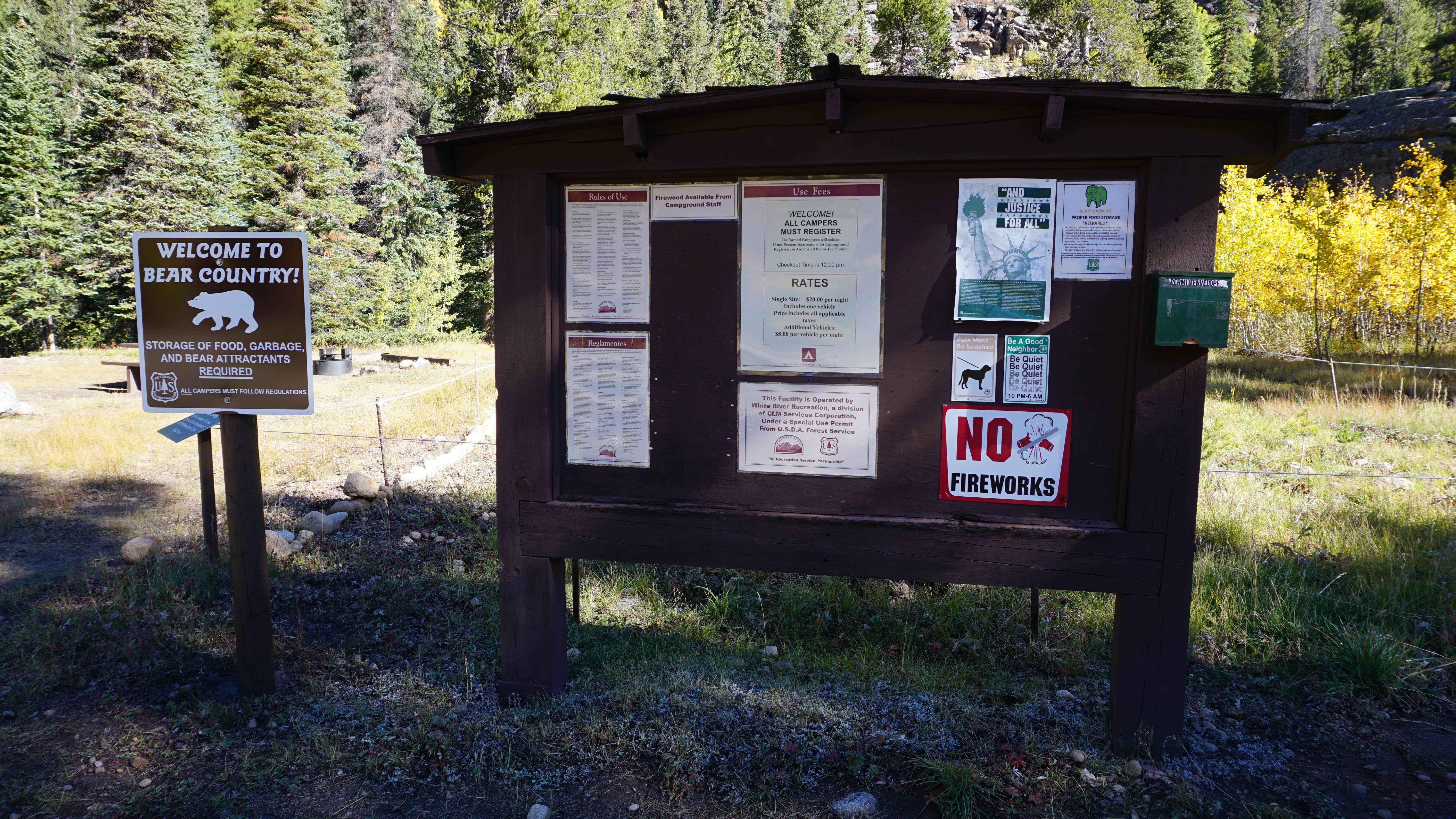 Camper submitted image from Lincoln Creek Dispersed Campground - 5