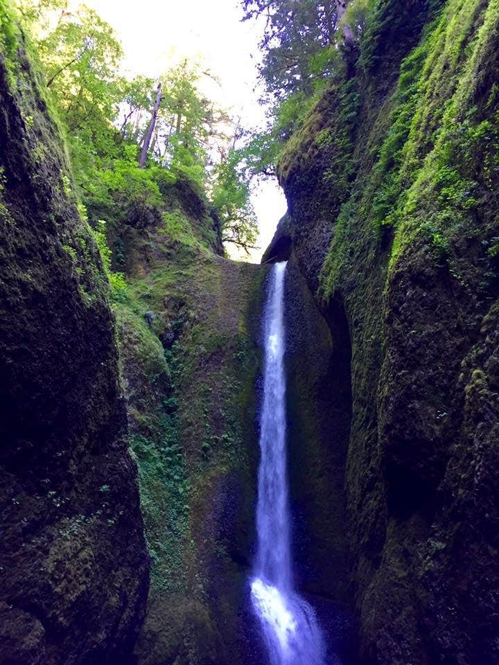 Camper submitted image from Sun Outdoors Portland South - 2