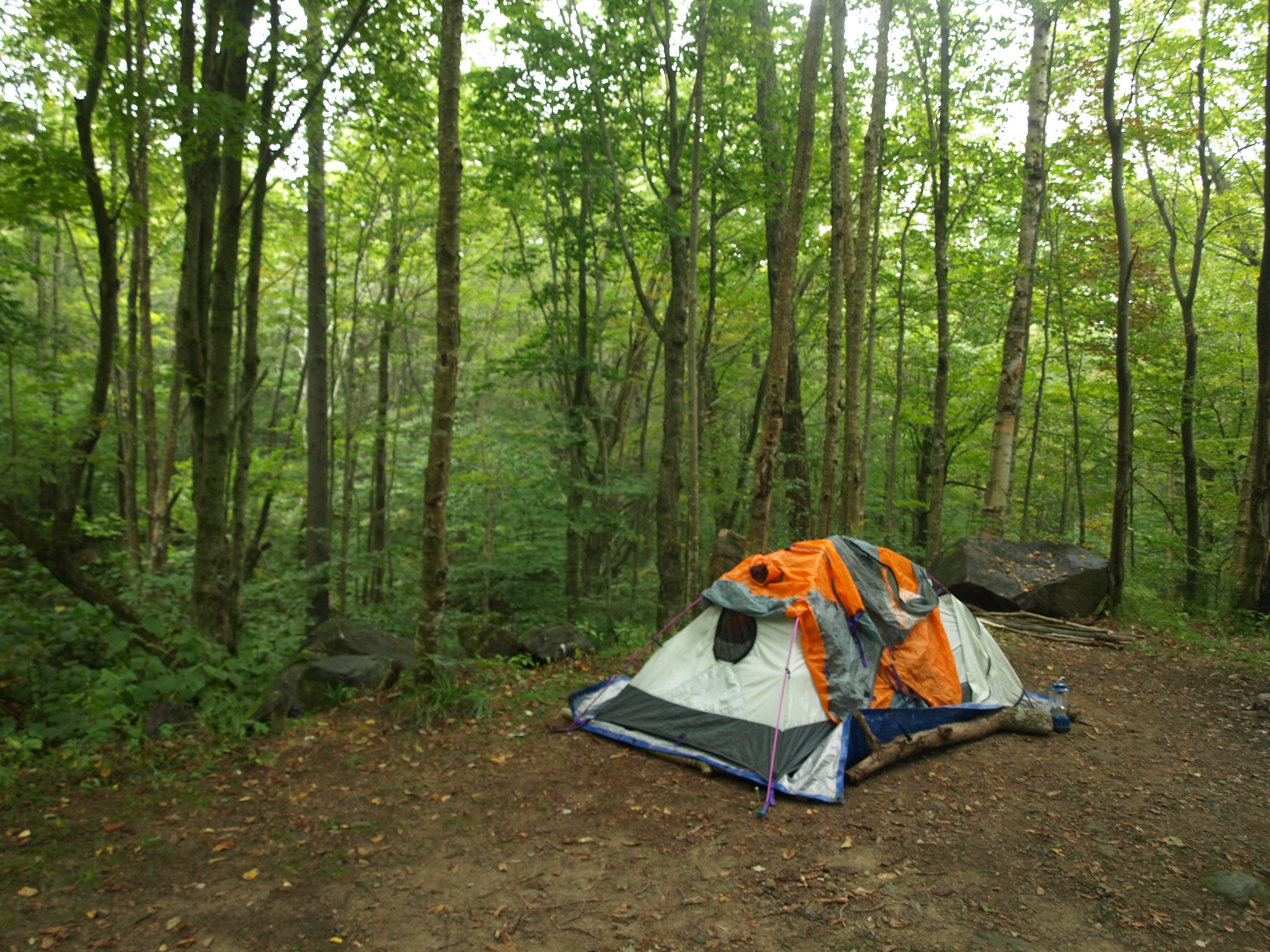 Camper submitted image from Lake Durant Adirondack Preserve - 4