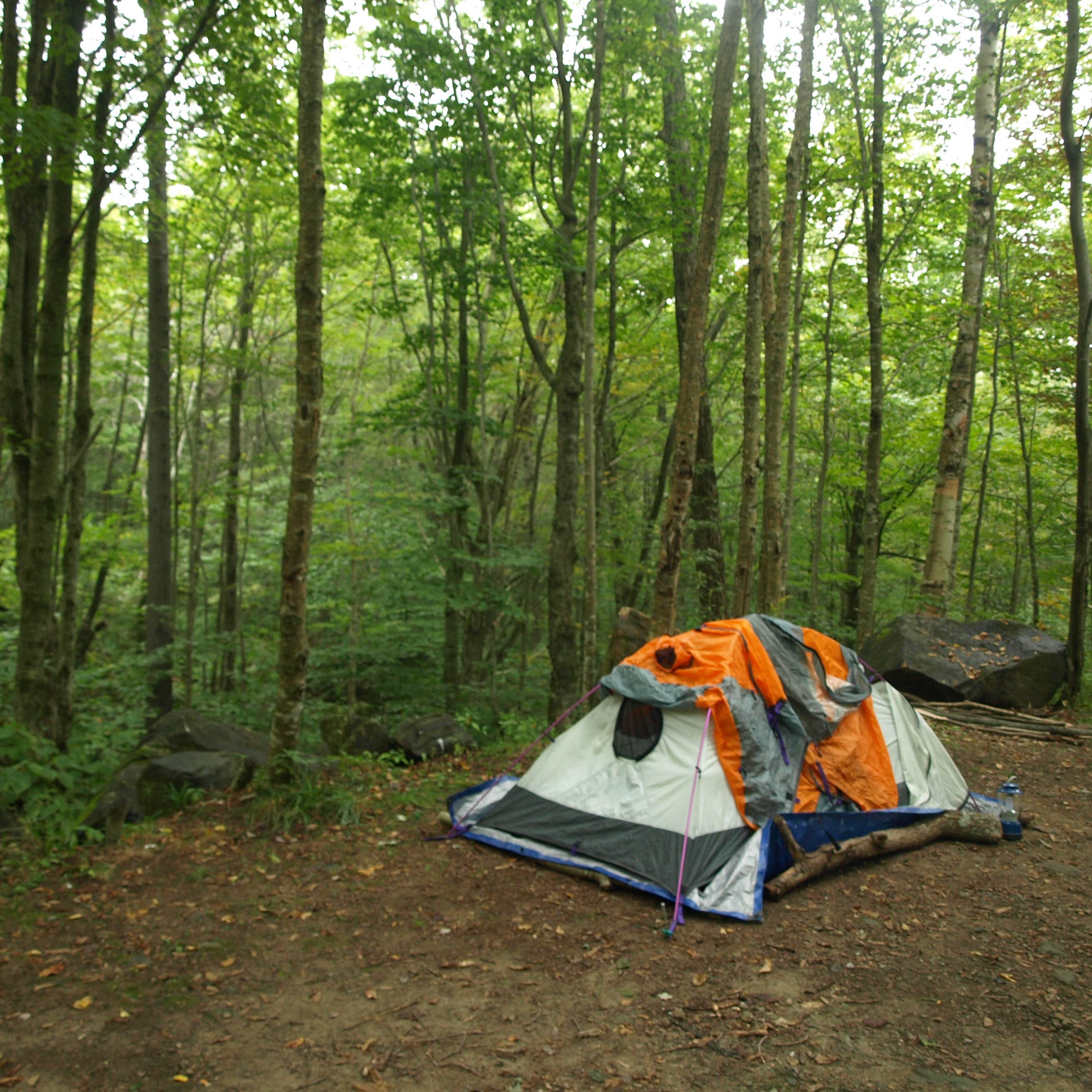 Lake Durant Adirondack Preserve Camping | Blue Mountain Lake, NY | The Dyrt