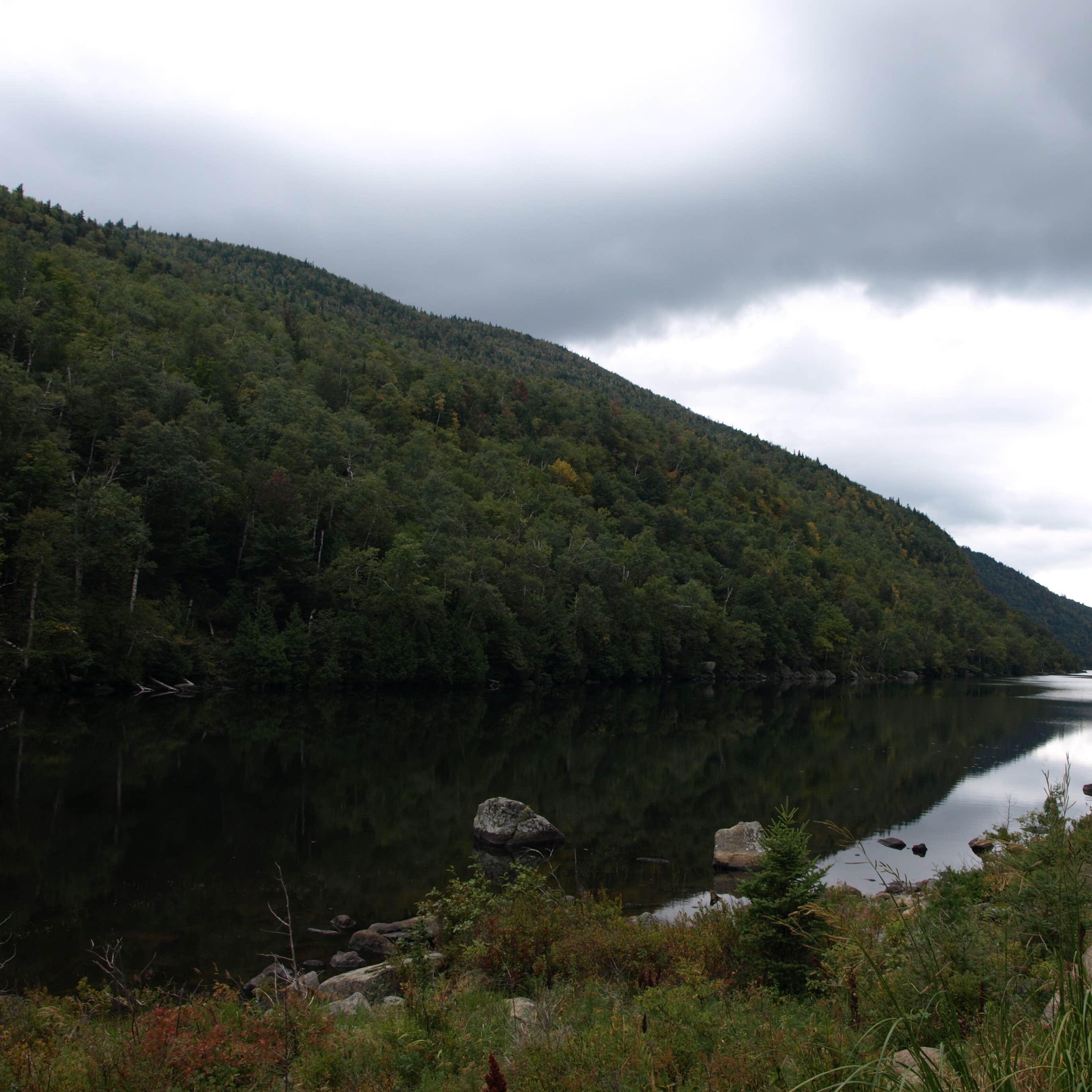 Woodland Valley Campground DEC Camping The Dyrt