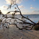 Review photo of Fort De Soto Campground by Christy C., June 13, 2016