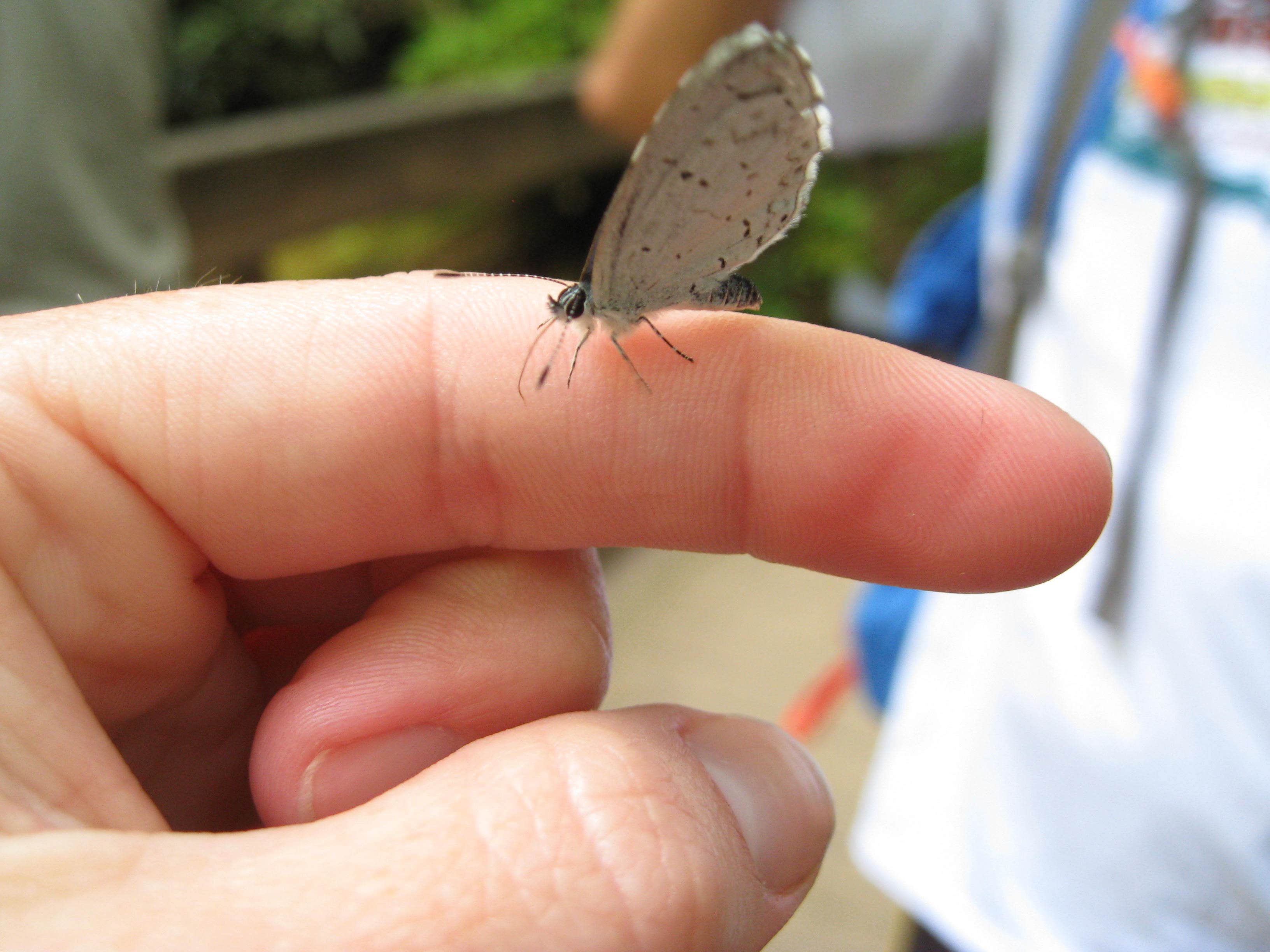 Camper-submitted photo at Deep Creek Tube Center & Campground near Bryson City, NC