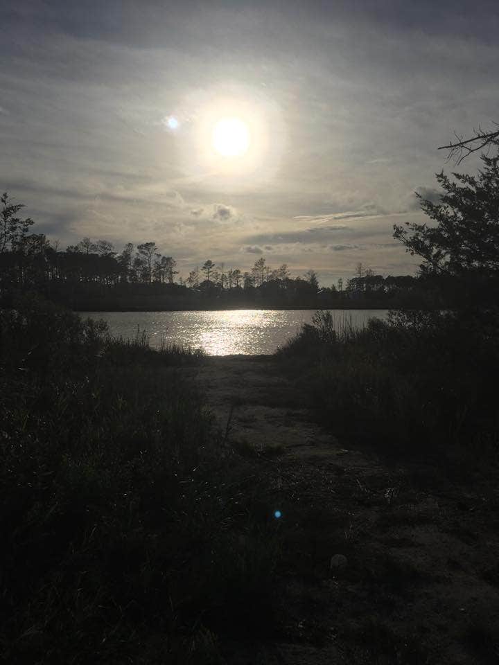 Camper submitted image from Sun Outdoors Rehoboth Bay - 5