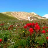 Review photo of Guanella Pass by Tarah W., June 13, 2016