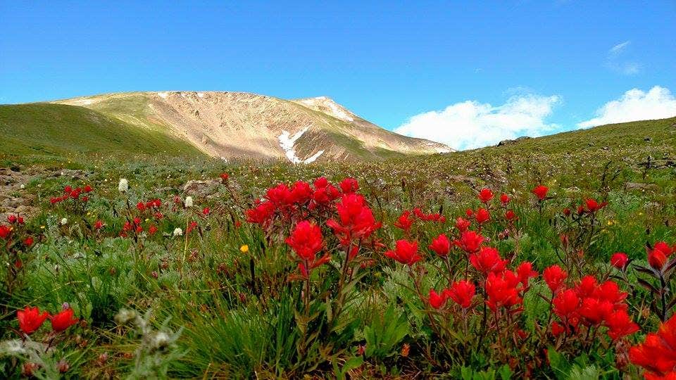 Camper submitted image from Guanella Pass - 2