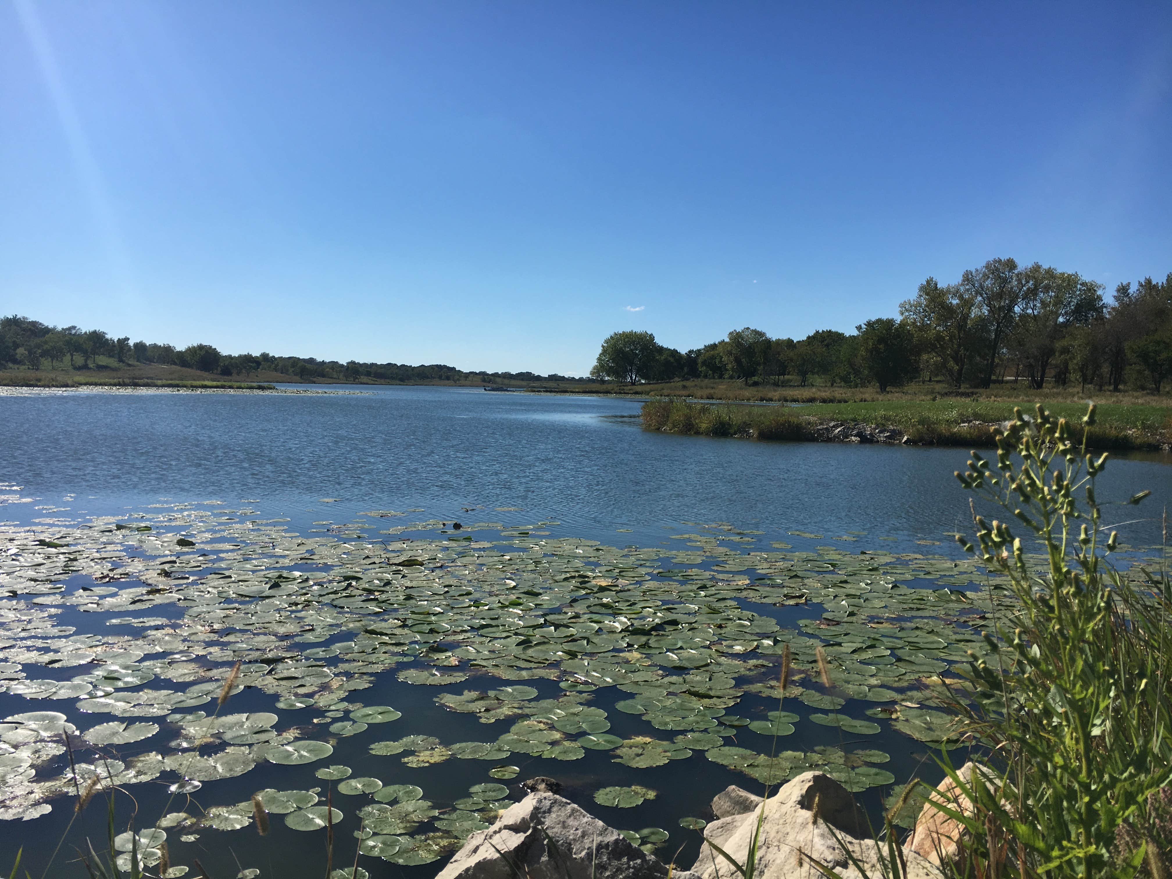 Camper submitted image from Lake Anita State Park Campground - 3