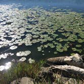 Review photo of Lake Anita State Park Campground by Matt S., October 1, 2016