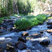 Review photo of Guanella Pass by Tarah W., June 13, 2016