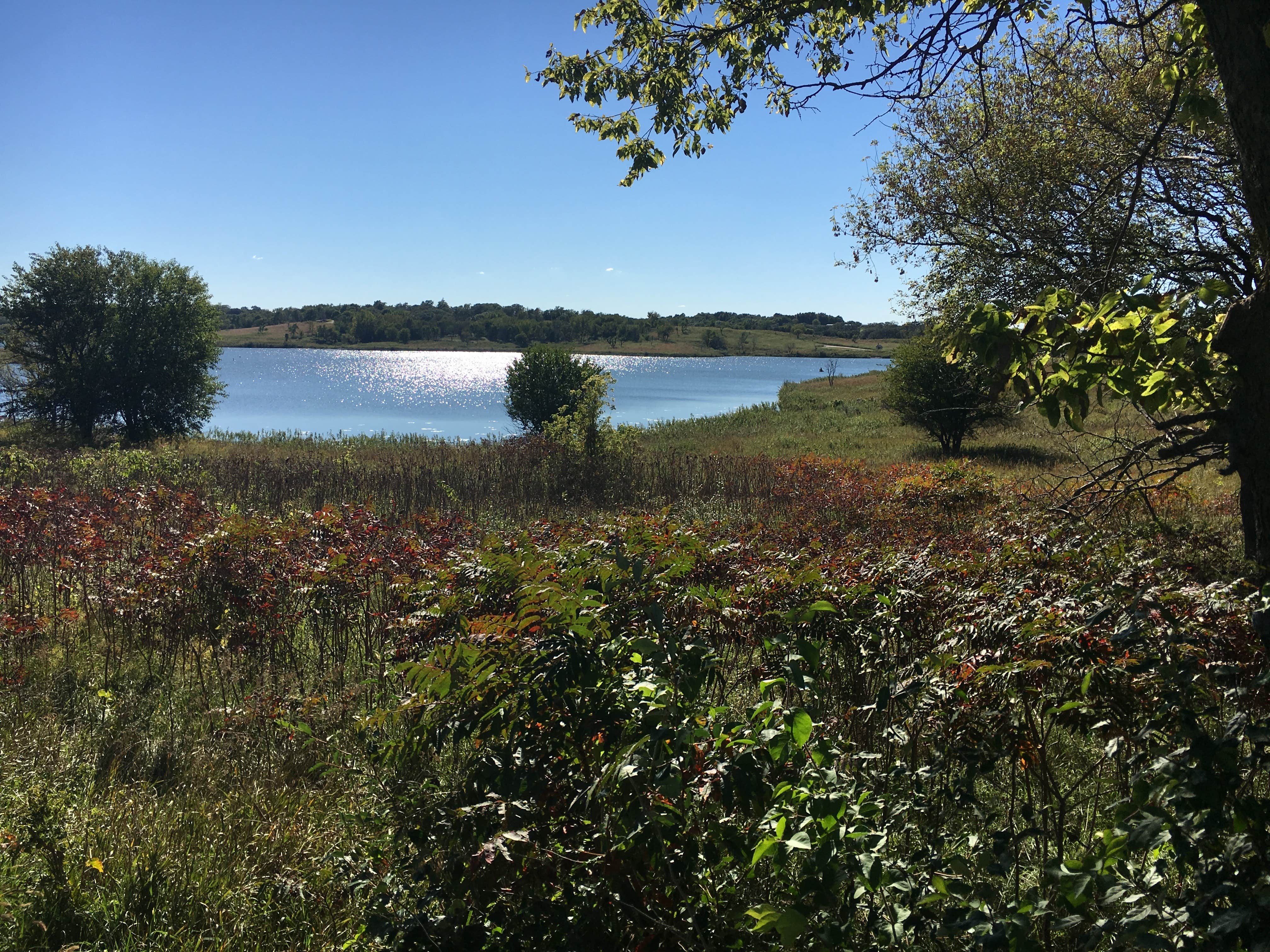 Camper submitted image from Lake Anita State Park Campground - 1