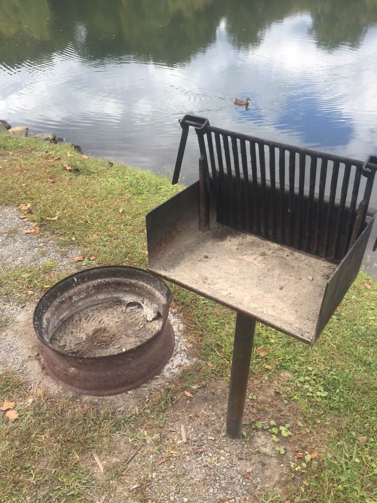 Camper submitted image from Asheville East KOA - 4