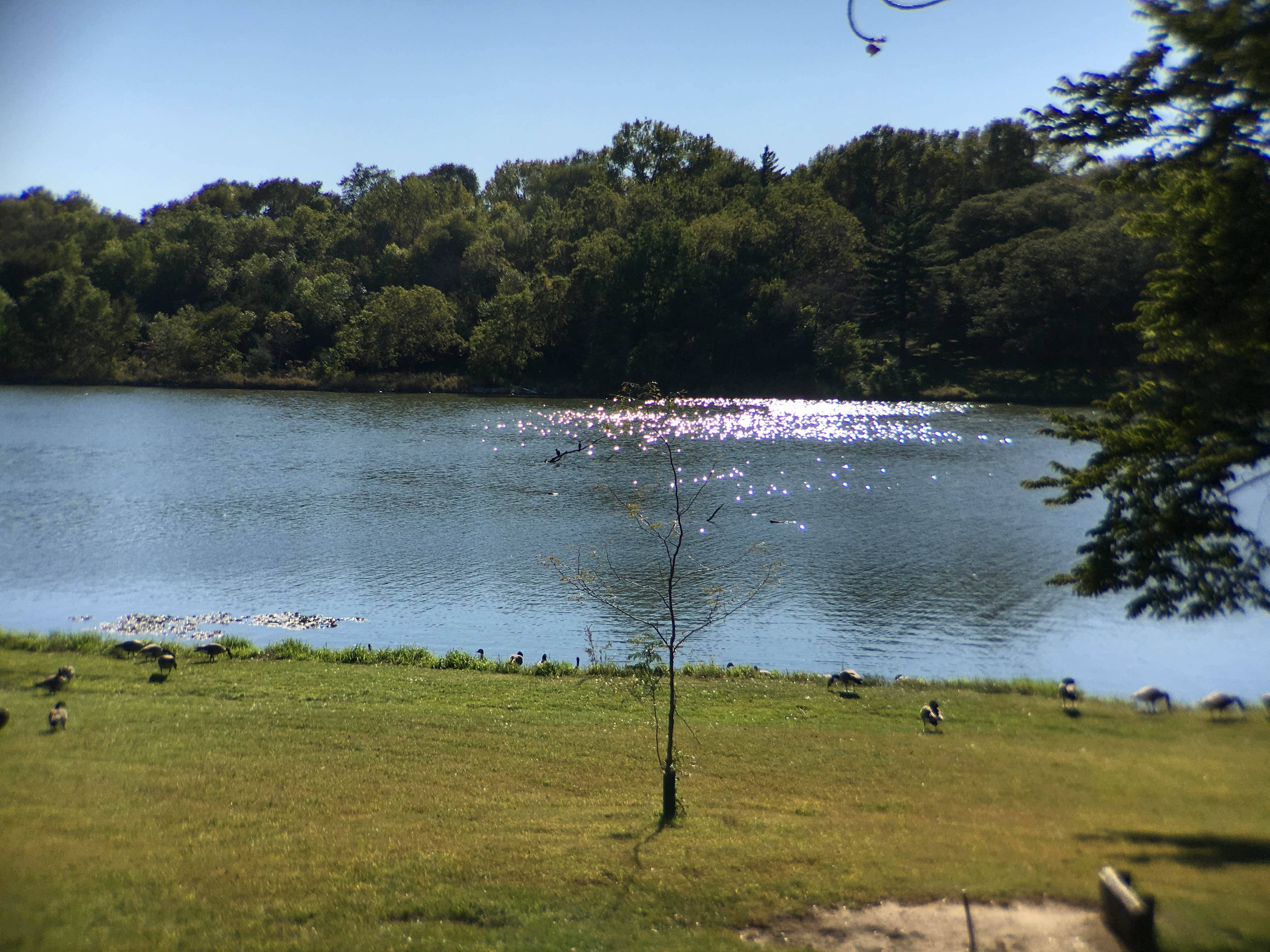 Camper submitted image from Prairie Rose State Park Campground - 1