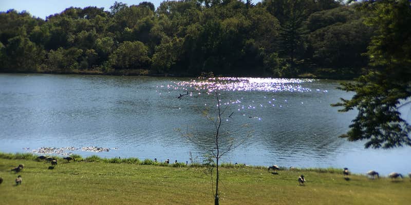 Camper submitted image from Prairie Rose State Park Campground