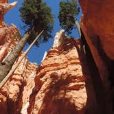 Review photo of North Campground — Bryce Canyon National Park by Megan B., October 1, 2016