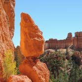 Review photo of North Campground — Bryce Canyon National Park by Megan B., October 1, 2016