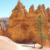 Review photo of North Campground — Bryce Canyon National Park by Megan B., October 1, 2016