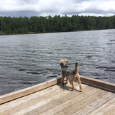 Review photo of Goose Creek State Park Campground by Kayko S., October 1, 2016