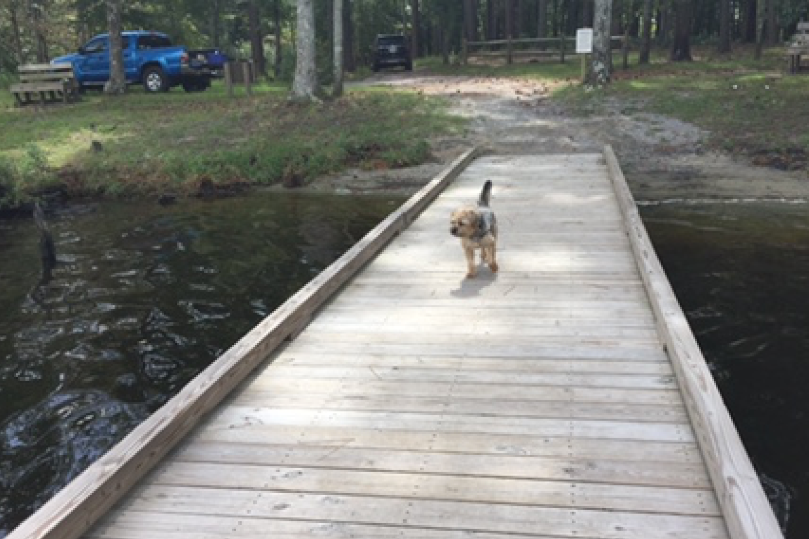 Camper submitted image from Goose Creek State Park Campground - 4