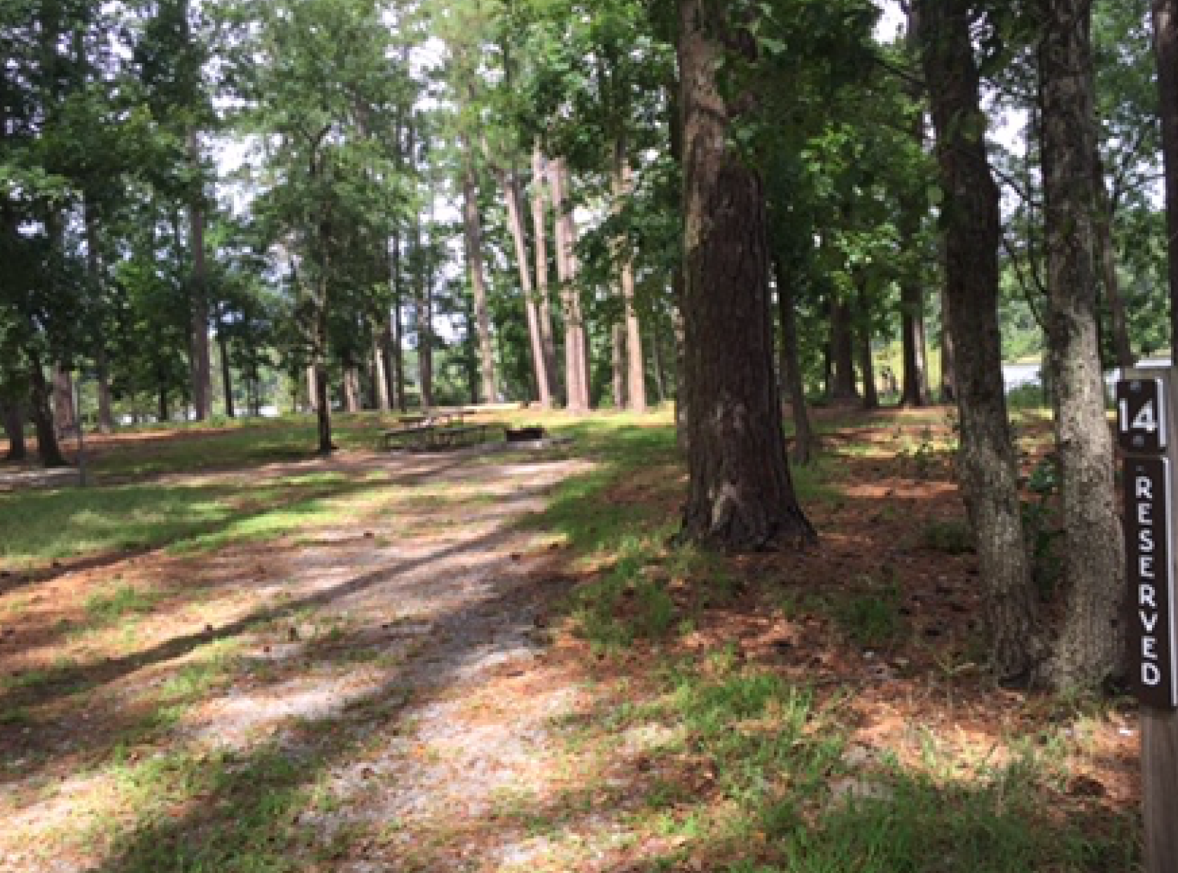 Camper submitted image from Goose Creek State Park Campground - 2