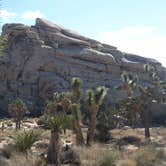 Review photo of Black Rock Campground — Joshua Tree National Park by Michael K., June 13, 2016