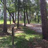 Review photo of Goose Creek State Park Campground by Kayko S., October 1, 2016