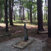 Review photo of Goose Creek State Park Campground by Kayko S., October 1, 2016